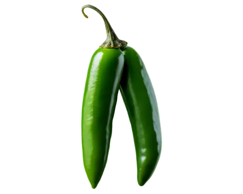 serrano peppers,green bell pepper,green pepper,bellpepper,jalapeno,poblano,chilli pods,green paprika,jalapenos,aaaa,okra,green bell peppers,bell pepper,patrol,pea,horn cucumber,asparagaceae,bottle gourd,chillisquaque,pipino,Conceptual Art,Oil color,Oil Color 12