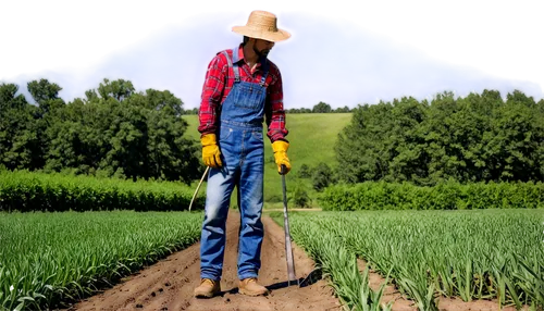 Farmworker, agriculture, male, 30s, rugged, strong build, worn denim overalls, plaid shirt, straw hat, gloves, muddy boots, holding farming tool, standing in field, wheat or corn background, warm sunn