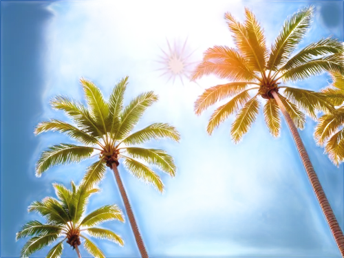 palmtrees,palm trees,palm tree vector,palms,coconut trees,palm tree,palmtree,two palms,watercolor palm trees,coconut palms,palmtops,palm fronds,palm silhouettes,palm,palm branches,palm forest,royal palms,coconut palm tree,palm field,palm tree silhouette,Illustration,Japanese style,Japanese Style 01