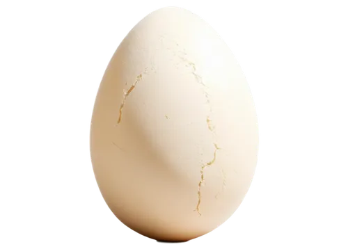 bisected egg,egg,eggshell,egg shell,chicken egg,large egg,goose eggs,brown egg,painted eggshell,cracked egg,soy egg,organic egg,hen's egg,bird's egg,egg shells,egg white,boiled egg,tea egg,eggshells,egg shell break,Photography,General,Fantasy