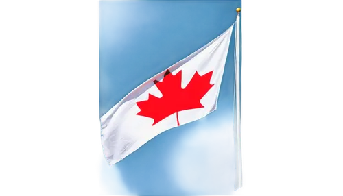 Canadian flag, waving in wind, red maple leaf emblem, white background, fluttering edges, sunny day, bright blue sky, close-up shot, shallow depth of field, high contrast, vibrant colors, detailed tex