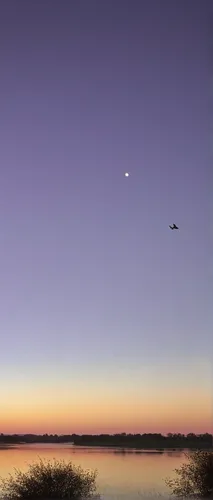 doñana national park,crescent moon,moon and star,moonrise,evening lake,etosha,alligator alley,tidal marsh,everglades,camargue,estuarine,black hawk sunrise,twiliight,before dawn,estuary,hanging moon,sunrise flight,stars and moon,moon and star background,dawn,Photography,Black and white photography,Black and White Photography 03