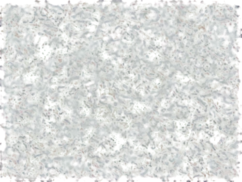 seamless texture,marpat,stereogram,terrazzo,stereograms,carpet,carpeted,liverwort,paved square,polyploid,tilings,monolayer,cement background,sphagnum,kngwarreye,granite texture,porphyry,groundcovers,candy pattern,background pattern,Conceptual Art,Oil color,Oil Color 15