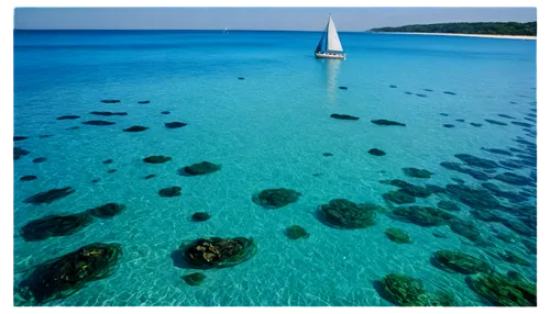 ionian sea,wakatobi,sardinia,croatia,island of rab,caribbean sea,balearic islands,adriatic,great barrier reef,fiji,lavezzi isles,andaman sea,widi islands,lefkada,elba island,istria,balearica,blue waters,curacao,similan island,Photography,General,Cinematic