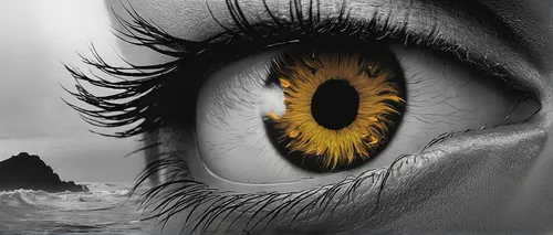 yellow eye,yellow eyes,eye,abstract eye,horse eye,pupil,the eyes of god,golden eyes,sun eye,helianthus,fire eyes,cosmic eye,tear of a soul,eye ball,photo manipulation,eyeball,big ox eye,women's eyes,goldeneye,eye cancer,Photography,Artistic Photography,Artistic Photography 06