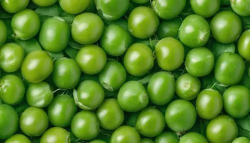 pea,patrol,peas,greed,green,green soybeans,soyabean,aaaa,cucurbitaceae,beanballs,aaa,greenie,greeno,green beans,chloropaschia,cornichons,kacang,javabeans,defend,greensomes,Photography,General,Natural