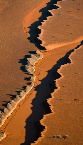 namib desert,namib,gobi desert,dead vlei,the gobi desert,namibia,arid landscape,braided river,namib rand,argentina desert,shifting dunes,namibia nad,soil erosion,libyan desert,sossusvlei,deadvlei,meanders,dune landscape,aeolian landform,shifting dune,Conceptual Art,Fantasy,Fantasy 07