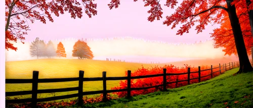 autumn background,autumn fog,autumn scenery,foggy landscape,autumn landscape,autumn frame,fall landscape,landscape background,autumn morning,autumn idyll,autumn day,nature background,the autumn,one autumn afternoon,just autumn,late autumn,autumn,in the autumn,autumn forest,morning mist,Conceptual Art,Fantasy,Fantasy 15