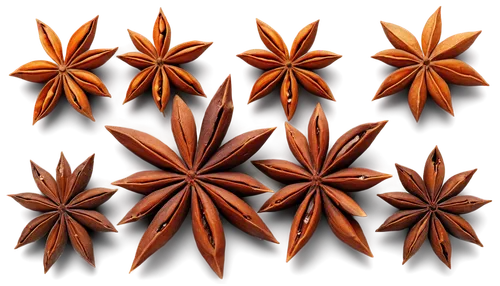 Star anise, whole spice, eight-pointed star shape, brown color, shiny surface, detailed texture, soft focus, warm lighting, shallow depth of field, 3/4 composition, realistic, high-definition, close-u