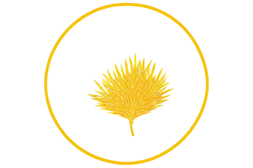 nz badge,ananas,punakaiki,papua new guinea,zoroastrian novruz,papua,taranaki,lotus png,kalimantan,echidna,lazio,harissa,banksia,pinapple,card thistle,ananas comosus,nz,iran,apulia,pineapple basket,Illustration,Abstract Fantasy,Abstract Fantasy 14