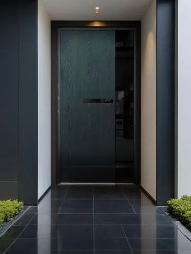 metallic door,modern minimalist bathroom,hallway space,room door,entryway,steel door,levator,hinged doors,entryways,garden door,house entrance,the threshold of the house,wooden door,doorway,interior modern design,landscape design sydney,door,hallway,contemporary decor,mudroom