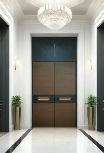 hinged doors,metallic door,room door,doors,search interior solutions,levator,entryways,elevators,door,art deco background,doorframe,entryway,architrave,door trim,doorkeepers,armoire,steel door,3d rendering,enfilade,hallway space