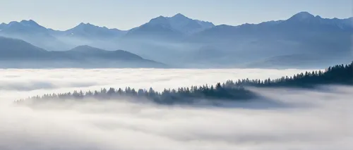 foggy mountain,wave of fog,sea of fog,foggy landscape,cloud mountains,north american fog,fog banks,cloud mountain,above the clouds,landscape mountains alps,sea of clouds,high alps,tatra mountains,morning mist,mountainous landscape,morning fog,western tatras,veil fog,mountainous landforms,southeast switzerland,Photography,Documentary Photography,Documentary Photography 05