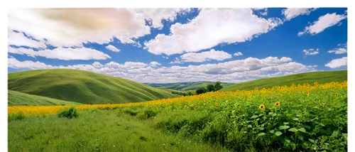 landscape background,virtual landscape,meadow landscape,castelluccio,grasslands,background view nature,nature background,grassland,3d background,mountain meadow,green meadow,nature landscape,mountainous landscape,windows wallpaper,salt meadow landscape,baghlan,green landscape,alpine meadow,renosterveld,high landscape,Conceptual Art,Fantasy,Fantasy 05