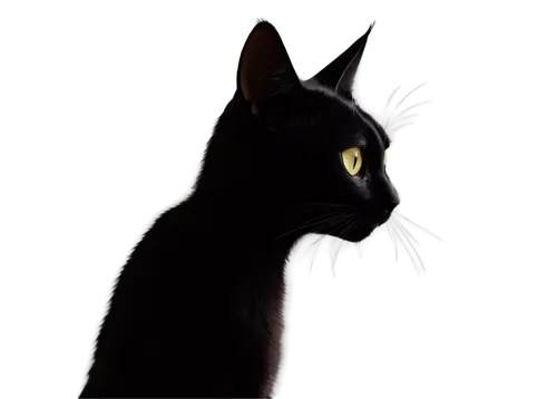 ravenpaw,shadowclan,cat vector,shadowcat,pyewacket,dark portrait,firecat,chiaroscuro,bagheera,cat cartoon,ghostzapper,black cat,luci,sissel,jiji the cat,yellow eyes,moonshadow,cartoon cat,lampblack,ombra,Illustration,Realistic Fantasy,Realistic Fantasy 12