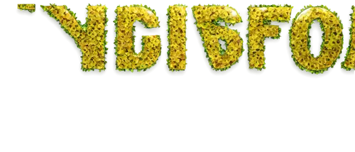 yfgp,logo youtube,wordart,logo header,word art,good vibes word art,yellow fir,yoschi,forest moss,y badge,yolks,yield,yust for you,yellow yolk,yorki,young frond,forestry,nutritional yeast,your,grass roof,Conceptual Art,Graffiti Art,Graffiti Art 03