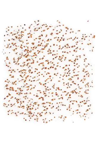 terrazzo,multituberculata,sandplains,desert coral,sargassum,spermatophores,generative,meditrust,junonia,cnidarians,ascidians,grains,rice seeds,sandplain,multituberculates,aggregations,biofilm,chromatophores,tadpoles,sea buckthorn,Illustration,Abstract Fantasy,Abstract Fantasy 15