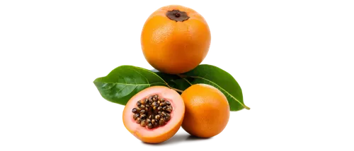 papaya,apricot,papayas,alvorada,pitahaya,psidium,kumquat,tangerine tree,muskmelon,pitahaja,naranjito,orang,passion fruit,orange fruit,guava,orangi,mandarins,juglandaceae,mandarina,apocynaceae,Illustration,American Style,American Style 05