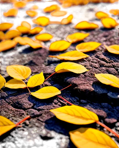 Hoja de otoño, golden yellow leaves, delicate stem, scattered on ground, natural setting, warm sunlight filtering through trees, soft focus, shallow depth of field, vibrant color tone, panoramic view,