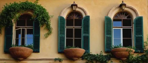 row of windows,old windows,window with shutters,sicily window,wooden windows,french windows,castle windows,drainpipes,window frames,loggia,window front,church windows,shutters,window with grille,windowpanes,windows,windows wallpaper,balcones,old window,balcony,Illustration,Realistic Fantasy,Realistic Fantasy 12