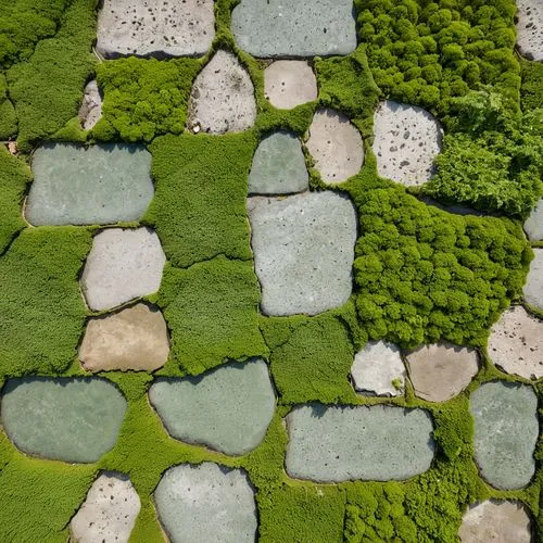 pond plants,aerial landscape,algae,green wallpaper,groundcover,block of grass,green algae,turf roof,garden pond,background with stones,green landscape,japanese zen garden,moss saxifrage,ground cover,stone garden,aquatic plants,grass roof,moss,salt evaporation pond,zen garden,Photography,General,Realistic