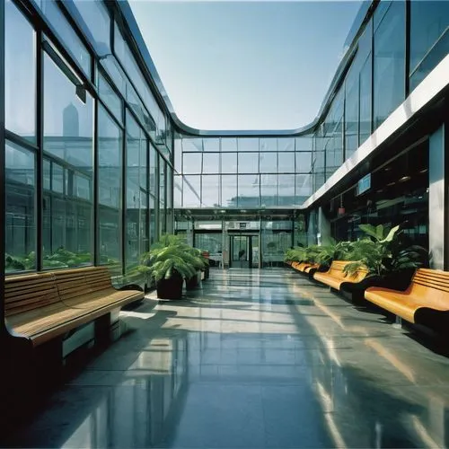 atriums,atrium,genentech,glass building,glass facade,biotechnology research institute,structural glass,wintergarden,technopark,ucsf,esade,embl,glasshouse,phototherapeutics,company headquarters,infosys,oberoi,glass wall,ohsu,langara,Photography,Black and white photography,Black and White Photography 14