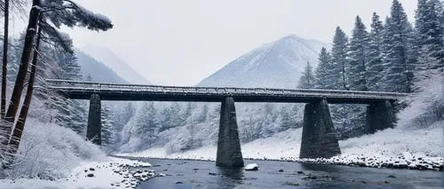 snow bridge,railroad bridge,trestle,scenic bridge,highway bridge,sweeping viaduct,snowy landscape,bailey bridge,hangman's bridge,wooden bridge,concrete bridge,viaduct,winter landscape,snow landscape,mountain pass,british columbia,humpback bridge,log bridge,chmarossky viaduct,arch bridge,Illustration,Japanese style,Japanese Style 18