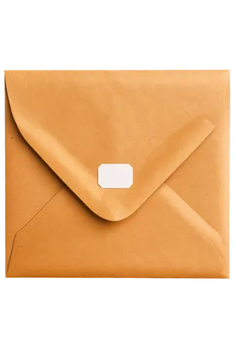 Brown envelope, rectangular shape, white address label, clear plastic window, rounded corners, paper texture, realistic details, natural light, 3/4 composition, shallow depth of field, warm color tone