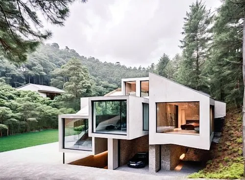 cubic house,cube house,forest house,house in the forest,modern architecture,mirror house,frame house,timber house,modern house,cantilevered,house in the mountains,inverted cottage,dunes house,lohaus,house in mountains,bohlin,dreamhouse,eisenman,cantilevers,wooden house