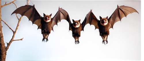 Flying bats, nocturnal creatures, translucent wings, dark brown fur, beady eyes, sharp teeth, solo, group of three, hanging upside down, spreading wings wide, perched on branch, moonlight, soft glowin