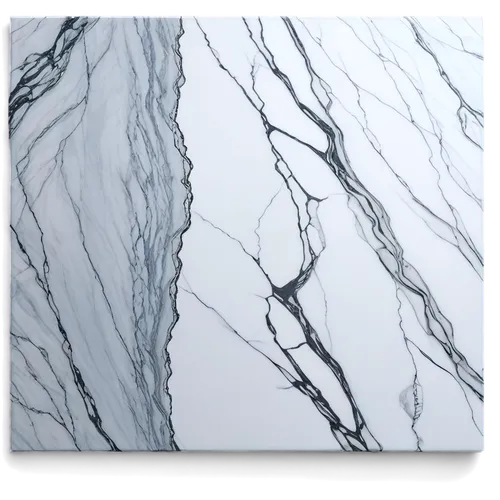 Marble background, luxurious, detailed texture, high-gloss finish, white base with gray veins, subtle reflections, soft focus, shallow depth of field, ambient lighting, panoramic view, ornate frame, e