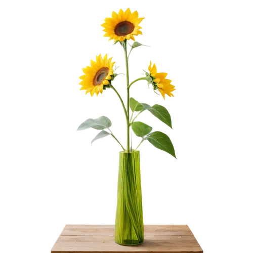 sunflowers in vase,yellow gerbera,flowers png,sunflower lace background,ikebana,helianthus,stored sunflower,gerbera,yellow calendula flower,helianthus occidentalis,sunflower paper,sun flowers,calendula,helianthus sunbelievable,calenduleae,inula,gerbera flower,sunflower,rudbeckia,gerbera daisies,Conceptual Art,Oil color,Oil Color 16