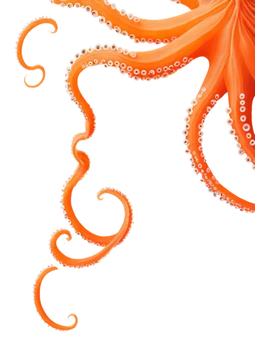 garrisoned,orange,garrison,garrisons,spiral background,defence,orang,garrisoning,garridos,defense,octopus vector graphic,jalebi,coral swirl,orangy,orange petals,garriott,sunburst background,light fractal,swirls,diwali background,Illustration,Realistic Fantasy,Realistic Fantasy 11