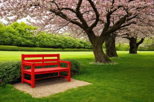 red bench,garden bench,outdoor bench,wooden bench,park bench,bench,benches,japanese cherry trees,cherry trees,wood bench,bench chair,ornamental cherry,cherry tree,japanese carnation cherry,spring background,springtime background,japanese cherry,stone bench,japanese column cherry,garden furniture,Illustration,Retro,Retro 22