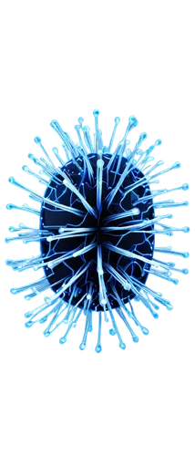 bristles,dish brush,spirography,pipette,optical fiber,rope brush,biosamples icon,optical fiber cable,coronavirus masks,ice pick,coronaviruses,corona virus,luffa,electric fan,coronavirus,sea-urchin,blowball,toilet brush,toothbrush,cockscomb,Photography,Black and white photography,Black and White Photography 02