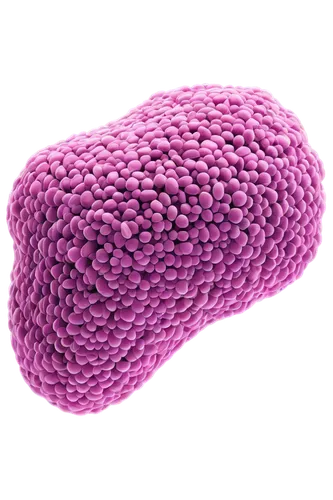 Microscopic sweat gland, detailed illustration, glandular structure, tubular shape, secretory cells, myoepithelial cells, basal lamina, apocrine sweat gland, eccrine sweat gland, microscopic view, 4/3