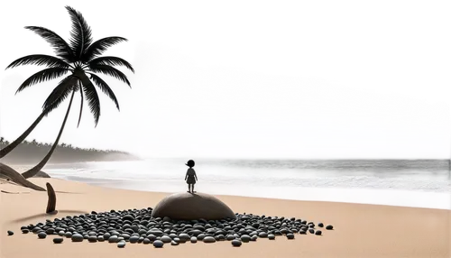 derivable,ramadan background,arabica,arabic background,date palm,arabic coffee,coconut tree,java island,date palms,dark beach,black sand,blender,peaberry,barotropic,beach landscape,palm pasture,beach defence,beach background,coffee background,coconut palm tree,Unique,3D,3D Character