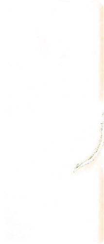 premaxillae,balestrieri,methone,transparent image,spermatozoa,demodex,dictyostelium,microlepis,1 mm,micrometeoroid,teosinte,isolated product image,egg,lens cracking,termite,tooth,microhylid,diplopia,postplatyptilia,protozoa,Photography,Artistic Photography,Artistic Photography 12