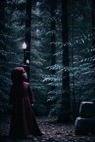 red riding hood,little red riding hood,black forest,dark park,schierstein,forest dark,melisandre,volturi,schierholtz,red coat,sokurov,schierke,silent night,tarkovsky,handmaid,tenebrae,wights,elfland,sidious,forest of dreams