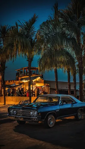 classic car and palm trees,pioneertown,ford galaxie,ford starliner,dodge dart,vintage cars,route 66,route66,chevrolet el camino,american classic cars,buick lesabre,muscle car,venice beach,buick riviera,buick gran sport,dodge charger,buick invicta,roadrunner,ford el falcon,chevrolet delray,Photography,Documentary Photography,Documentary Photography 25