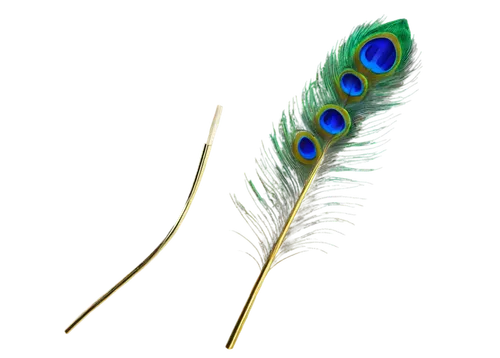 feather bristle grass,peacock feather,grass fronds,sedges,blade of grass,hare tail grasses,peacock feathers,notochord,cattail,petiole,blades of grass,hawk feather,microtubules,equisetum,horsetails,echinochloa,needlegrass,flagella,cyperus,elymus,Art,Artistic Painting,Artistic Painting 20