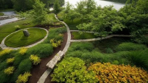 nature garden,arboretum,view from above,riverway,montlake,landscaped,Photography,Documentary Photography,Documentary Photography 15