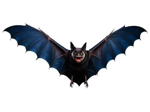 megabat,vampire bat,bat,bat smiley,fruit bat,bats,little red flying fox,tropical bat,lantern bat,hanging bat,flying fox,big brown bat,mouse eared bat,flying dog,batman,halloween vector character,corvus,belgian shepherd,gargoyle,pet black,Conceptual Art,Oil color,Oil Color 17