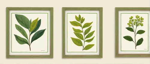 botanical frame,botanical line art,frame border illustration,art deco border,art deco background,leaf icons,art nouveau frames,botanical square frame,bamboo plants,nursery decoration,leaves frame,plants,vintage botanical,green plants,rubiaceae family,art deco frame,small plants,tube plants,four-leaf,garden plants,Art,Artistic Painting,Artistic Painting 25