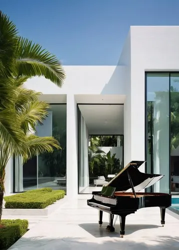 grand piano,the piano,steinway,tropical house,pianos,concerto for piano,piano,ivories,dreamhouse,florida home,piano player,music conservatory,beautiful home,piano keyboard,beach house,play piano,pianoforte,piano keys,luxury home,modern house,Photography,Documentary Photography,Documentary Photography 35