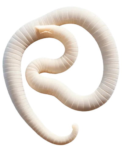 Microscopic, parasitic worm, segmented body, white color, thin shape, curled up, found in feces, brown background, high magnification, macro shot, shallow depth of field, soft lighting, detailed textu