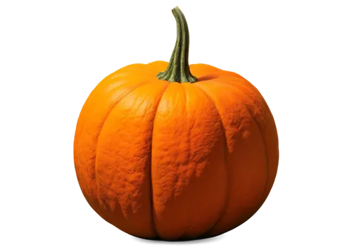 calabaza,cucurbita,candy pumpkin,pumpkin,hokkaido pumpkin,scarlet gourd,halloween pumpkin,pumkin,cucuzza squash,halloween pumpkin gifts,decorative pumpkins,cucurbit,gem squash,jack-o'-lantern,gourd,pumkins,wall,white pumpkin,winter squash,jack o'lantern,Illustration,Retro,Retro 17