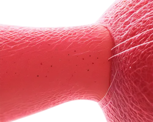 membranacea,hypercholesterolemia,papillae,epidermal,papules,microvascular,spicules,keratosis,dermagraft,corpuscles,endodermal,thrombus,hyperkeratosis,lipolysis,lipoprotein,hemochromatosis,hyperlipidemia,microcirculation,teratogen,angiogenesis,Illustration,Black and White,Black and White 06