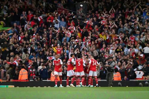 arsenal,celebration,southampton,emirates,the atmosphere,team spirit,the hive,yellow hammer,champions,celebrate,all the saints,phenomenon,banners,limbs,mind the gap,crouch,the sea of red,st mary's,vict