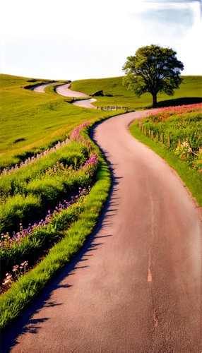 winding road,winding roads,country road,dirt road,roadless,rolling hills,road,long road,roads,backroads,crossroad,backroad,roadable,bicycle path,chemin,straightaways,uphill,asphalt road,camino,straight ahead,Photography,Artistic Photography,Artistic Photography 09